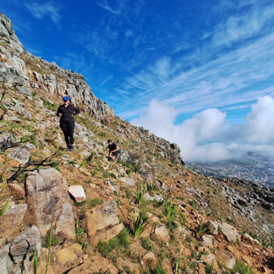 Chapman's Peak